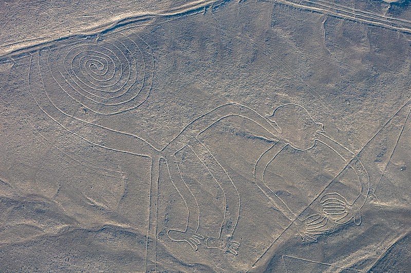 early large format sign 800px-Líneas_de_Nazca,_Nazca,_Perú,_2015-07-29,_DD_49